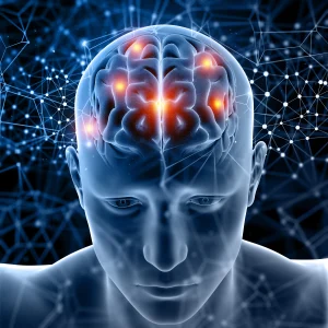 Brain development